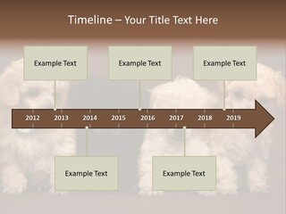 Four Adorable Poodle Puppies PowerPoint Template