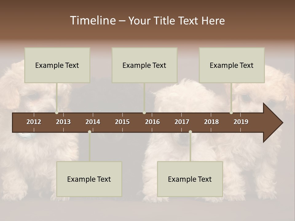 Four Adorable Poodle Puppies PowerPoint Template