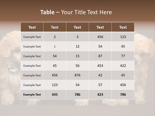 Four Adorable Poodle Puppies PowerPoint Template