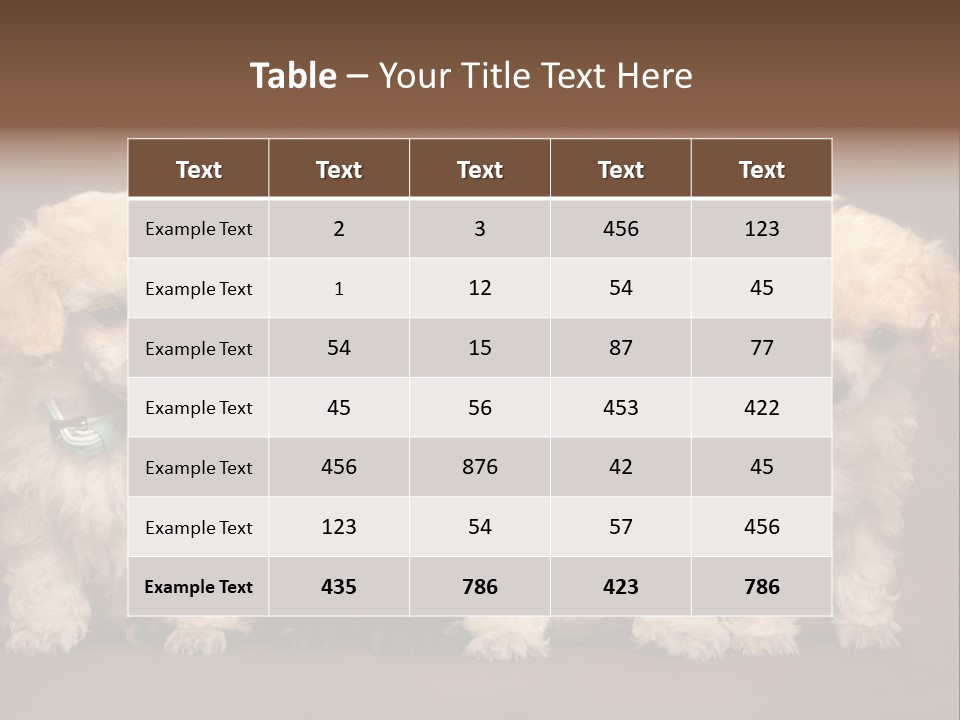 Four Adorable Poodle Puppies PowerPoint Template