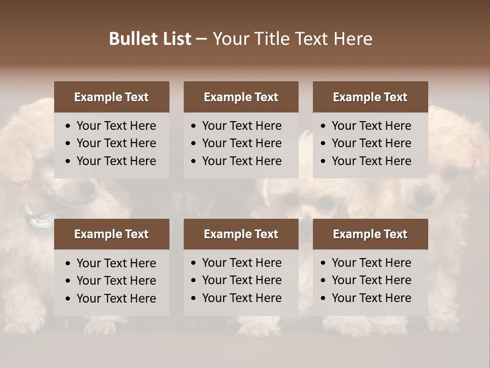 Four Adorable Poodle Puppies PowerPoint Template