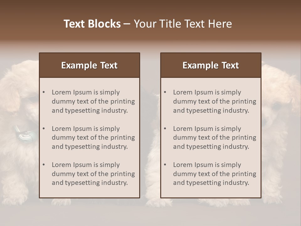 Four Adorable Poodle Puppies PowerPoint Template