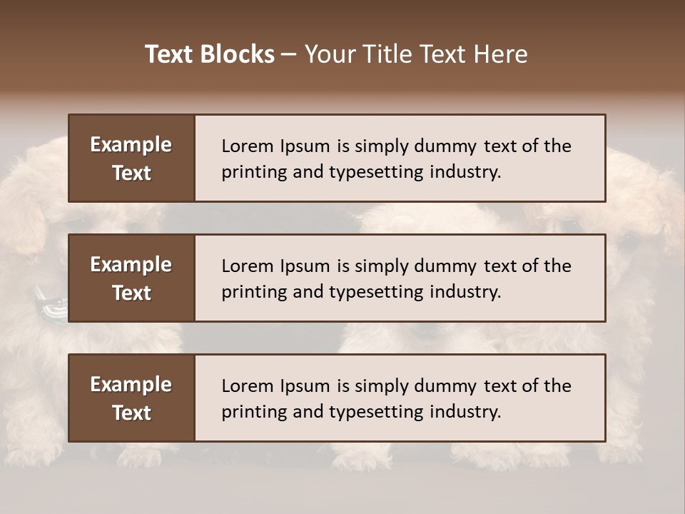 Four Adorable Poodle Puppies PowerPoint Template