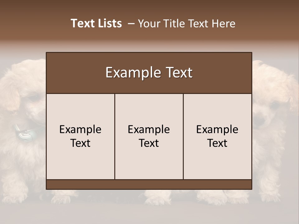 Four Adorable Poodle Puppies PowerPoint Template