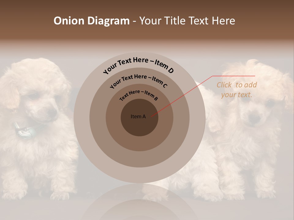 Four Adorable Poodle Puppies PowerPoint Template