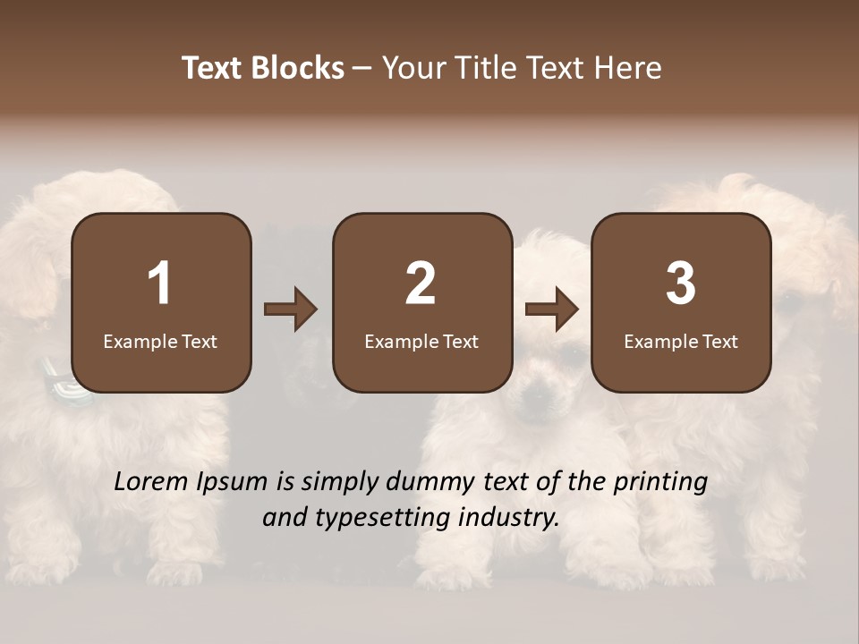 Four Adorable Poodle Puppies PowerPoint Template