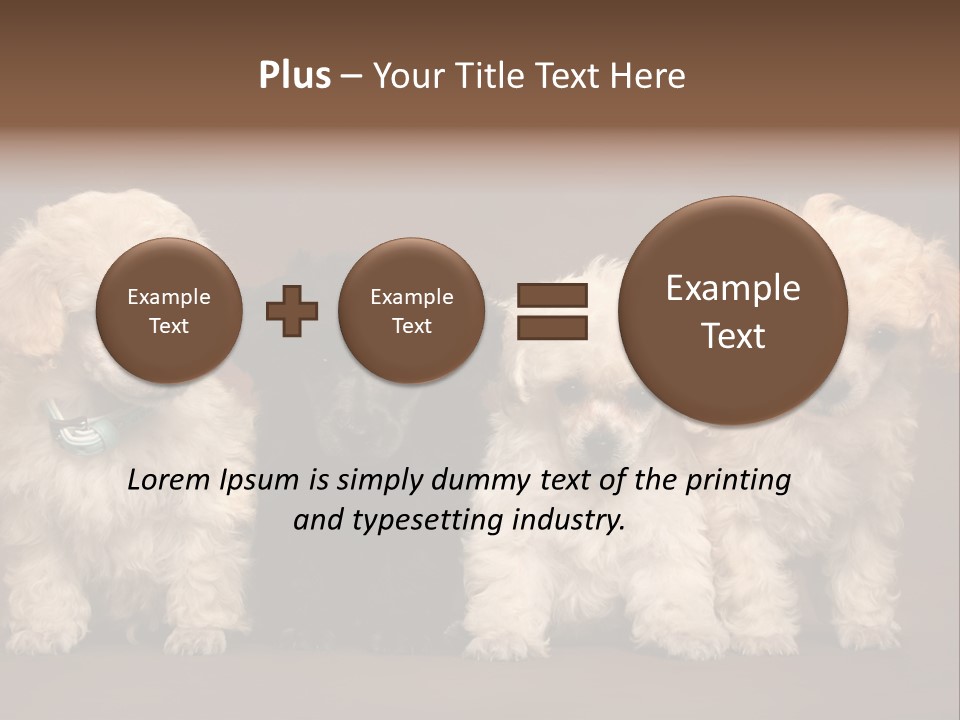 Four Adorable Poodle Puppies PowerPoint Template