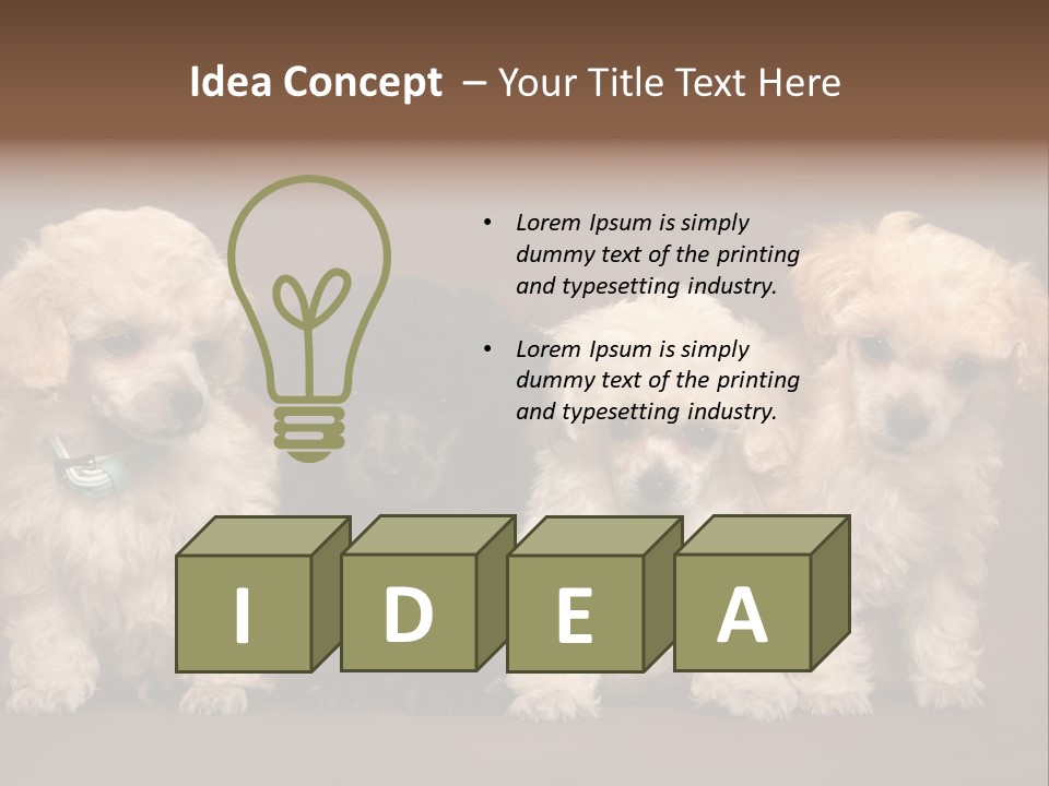 Four Adorable Poodle Puppies PowerPoint Template