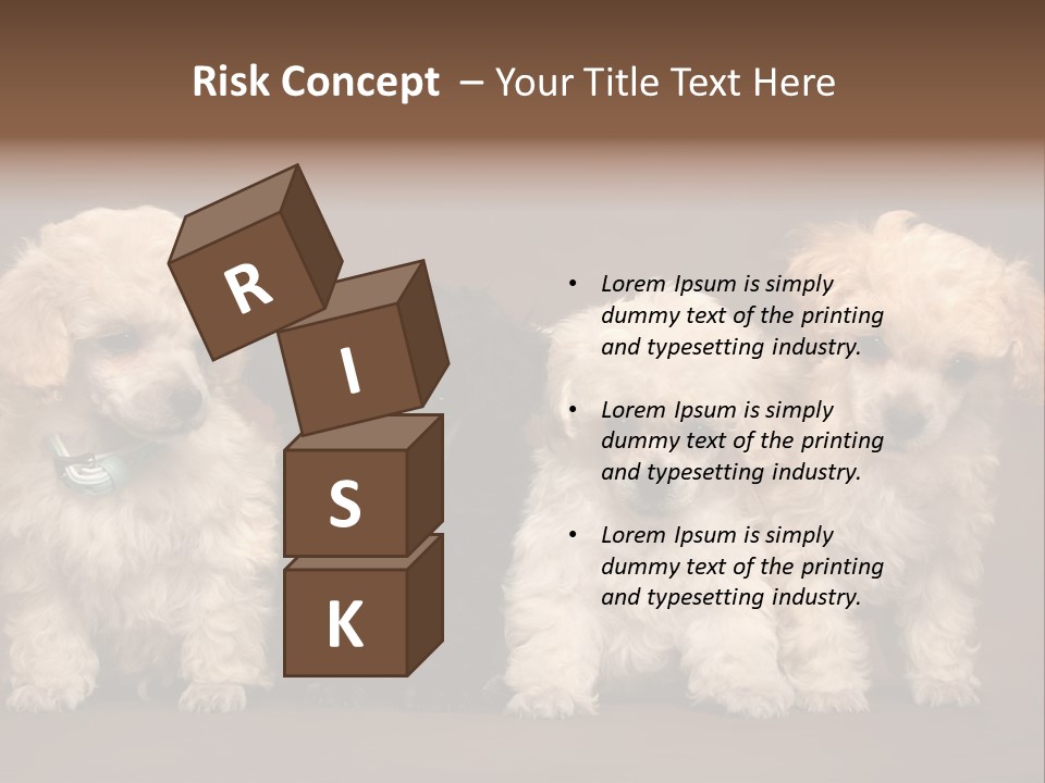 Four Adorable Poodle Puppies PowerPoint Template