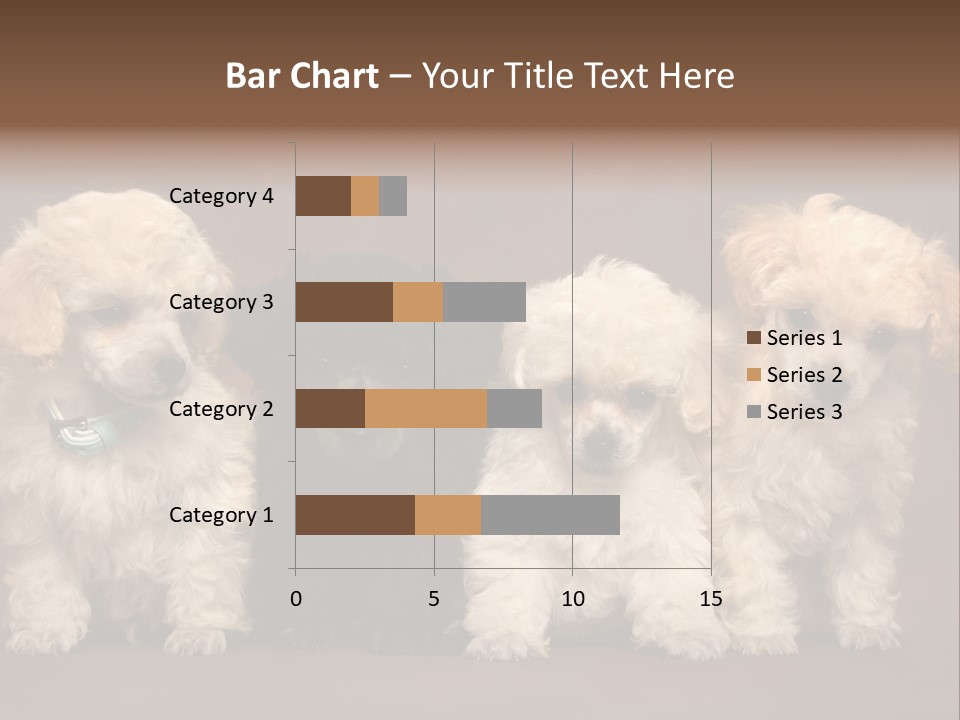 Four Adorable Poodle Puppies PowerPoint Template