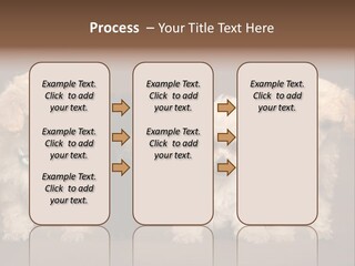 Four Adorable Poodle Puppies PowerPoint Template