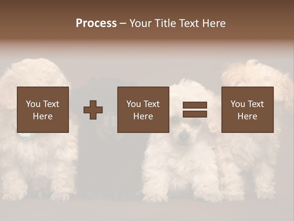 Four Adorable Poodle Puppies PowerPoint Template