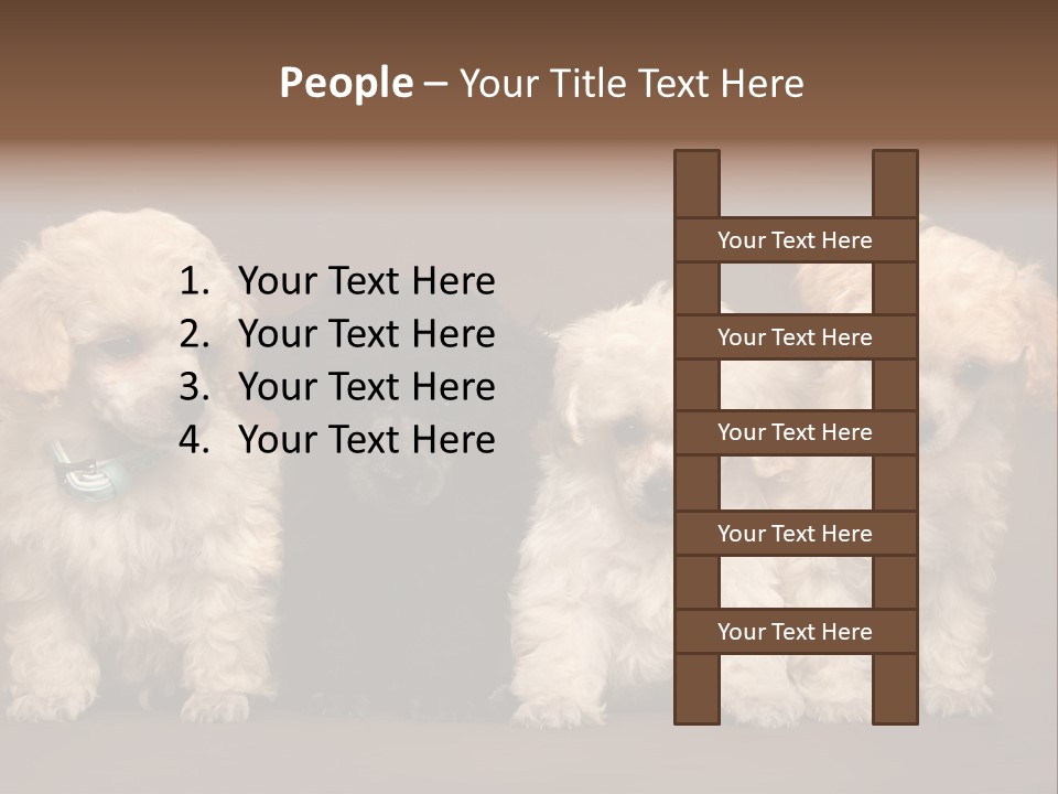 Four Adorable Poodle Puppies PowerPoint Template