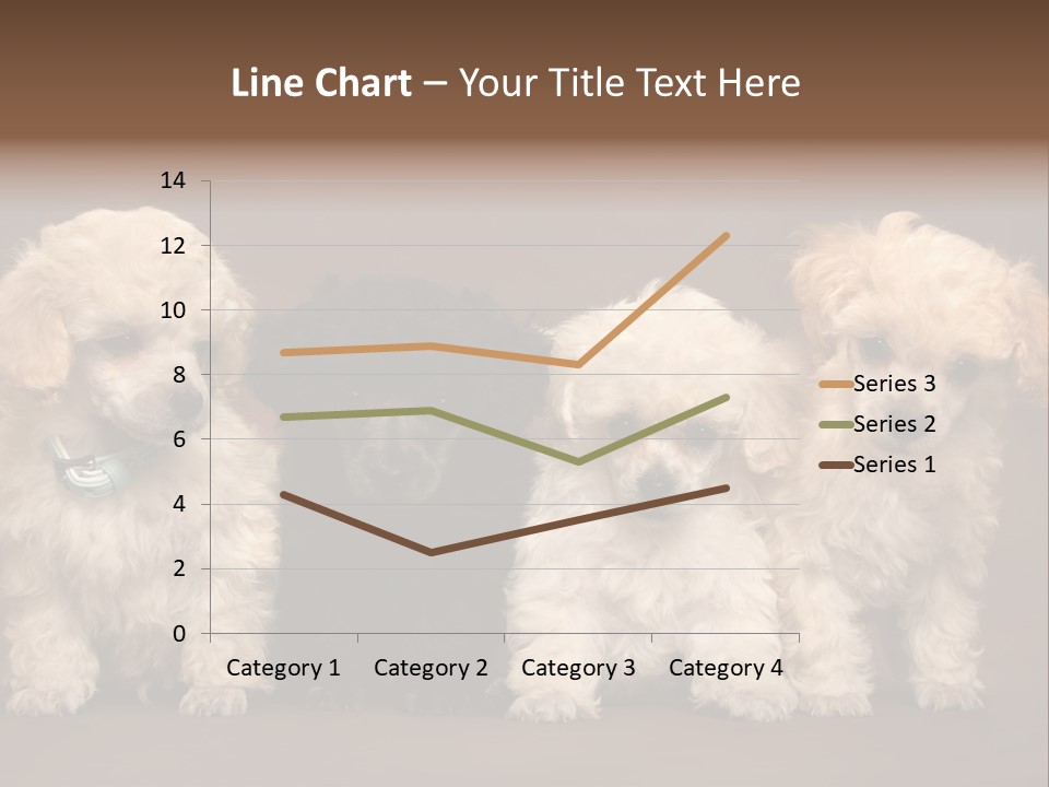 Four Adorable Poodle Puppies PowerPoint Template