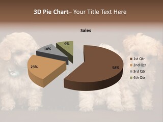 Four Adorable Poodle Puppies PowerPoint Template
