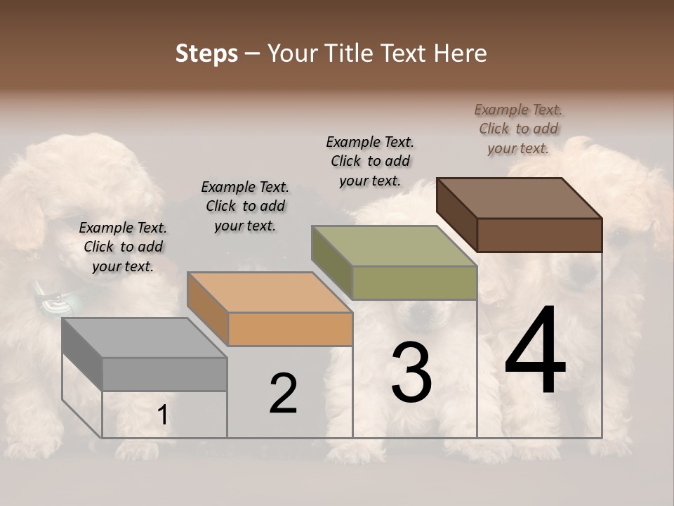 Four Adorable Poodle Puppies PowerPoint Template