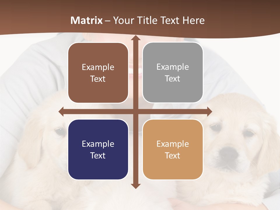 Catching The Yoga Balance PowerPoint Template