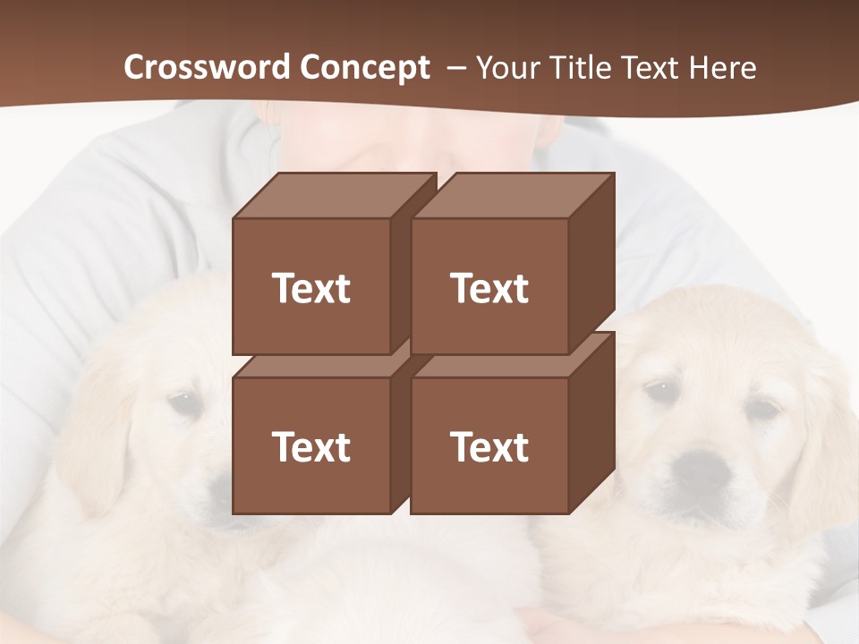 Catching The Yoga Balance PowerPoint Template