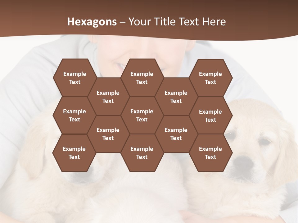 Catching The Yoga Balance PowerPoint Template