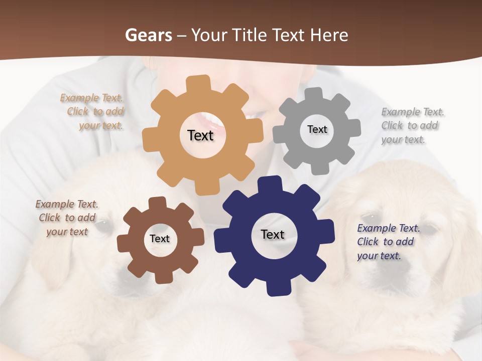 Catching The Yoga Balance PowerPoint Template