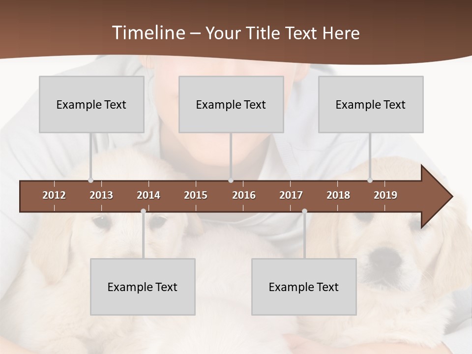 Catching The Yoga Balance PowerPoint Template