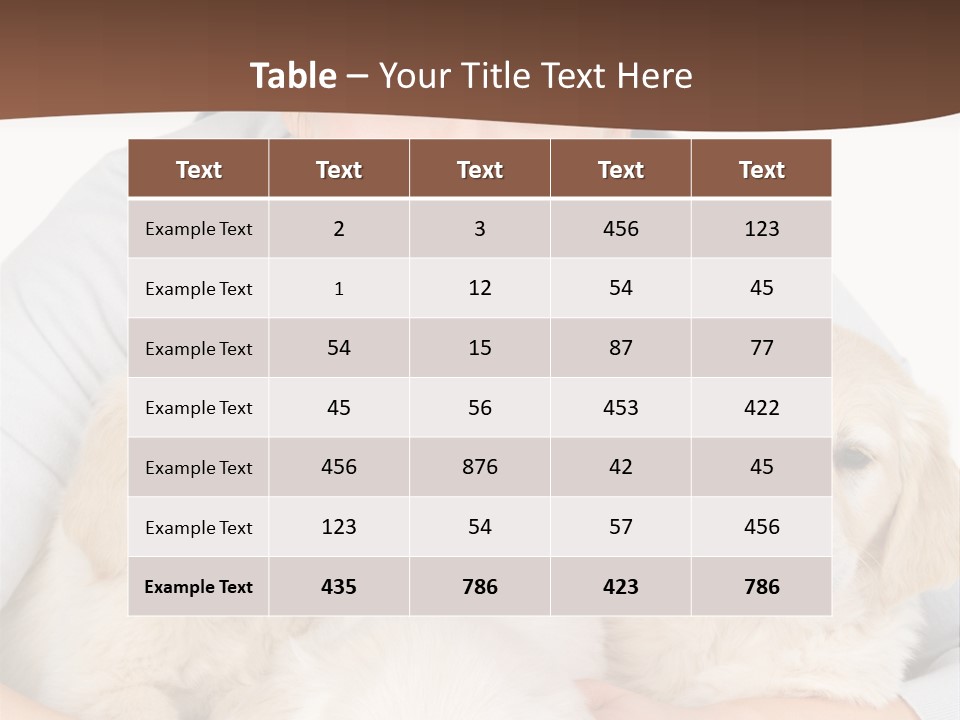 Catching The Yoga Balance PowerPoint Template