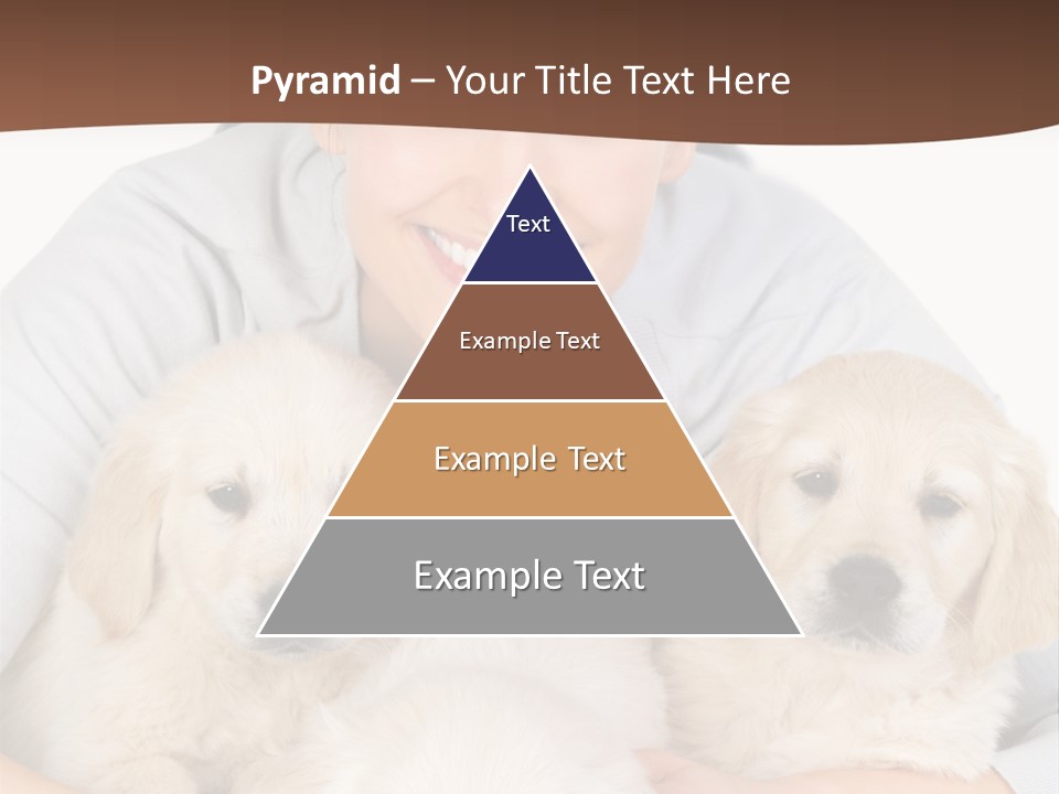 Catching The Yoga Balance PowerPoint Template