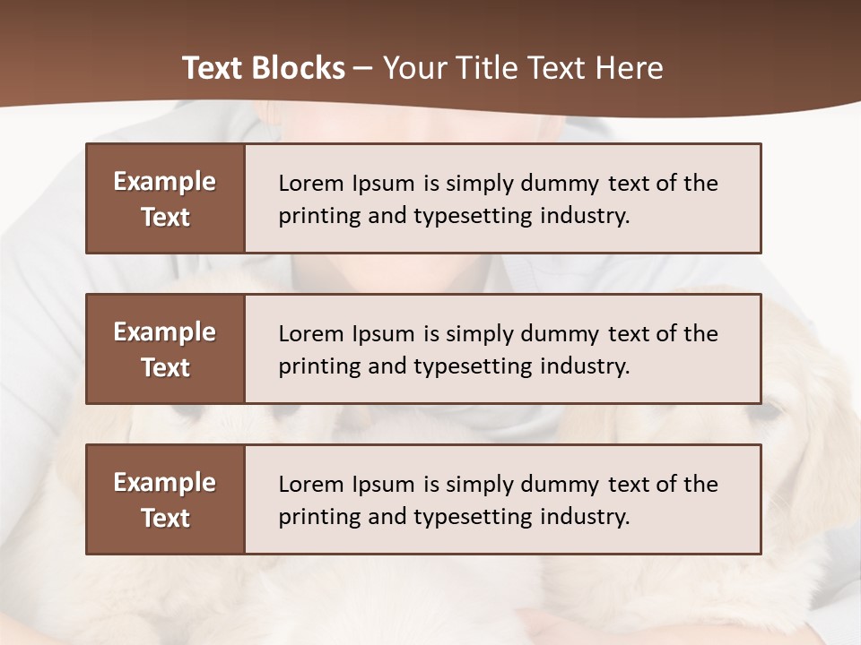 Catching The Yoga Balance PowerPoint Template