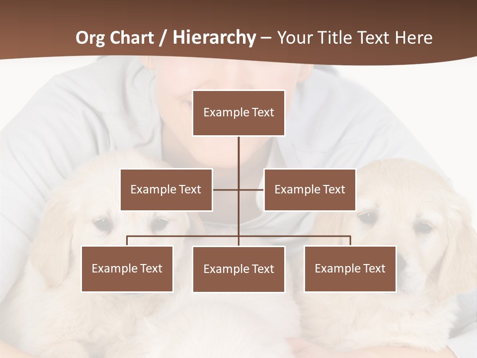 Catching The Yoga Balance PowerPoint Template