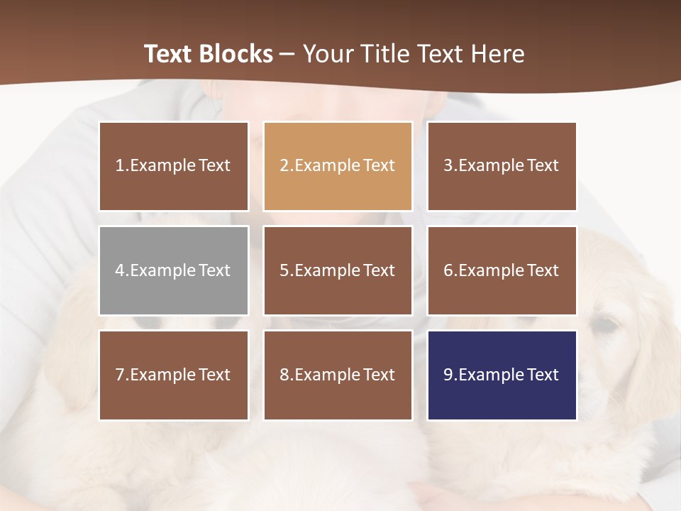 Catching The Yoga Balance PowerPoint Template