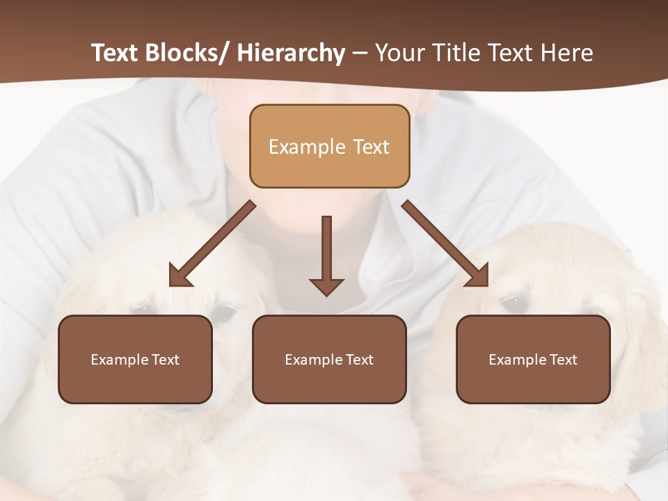 Catching The Yoga Balance PowerPoint Template