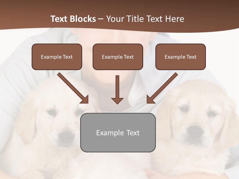 Catching The Yoga Balance PowerPoint Template