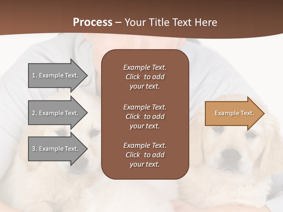 Catching The Yoga Balance PowerPoint Template