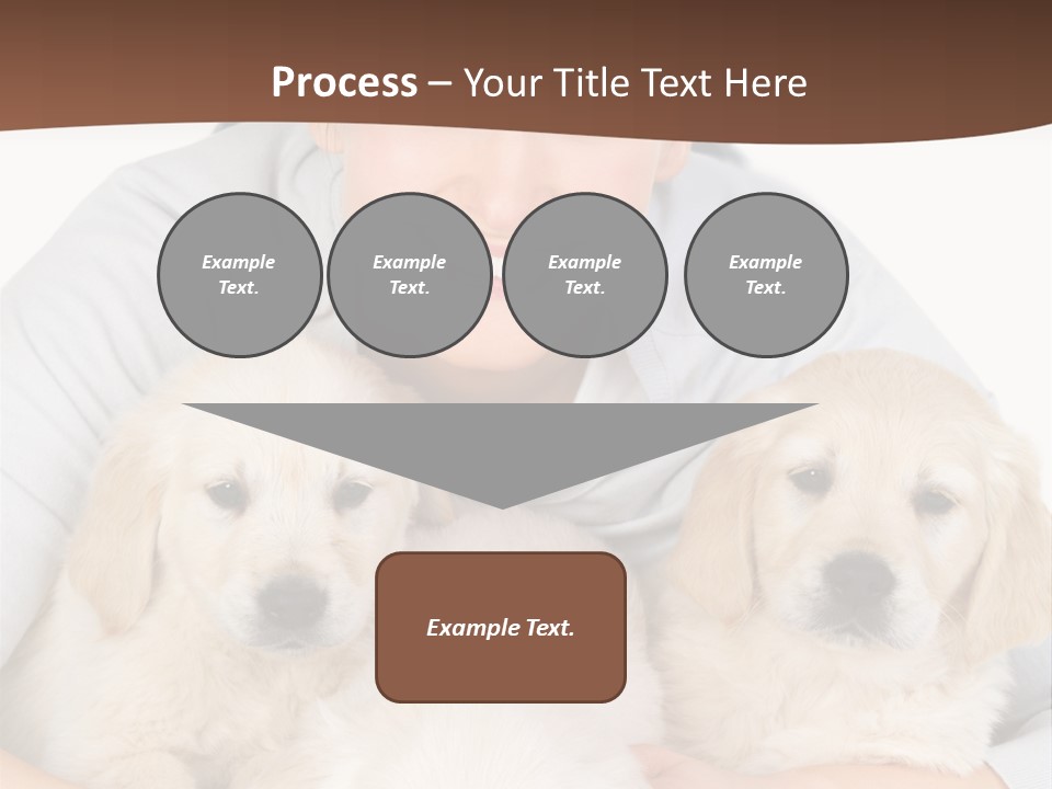 Catching The Yoga Balance PowerPoint Template