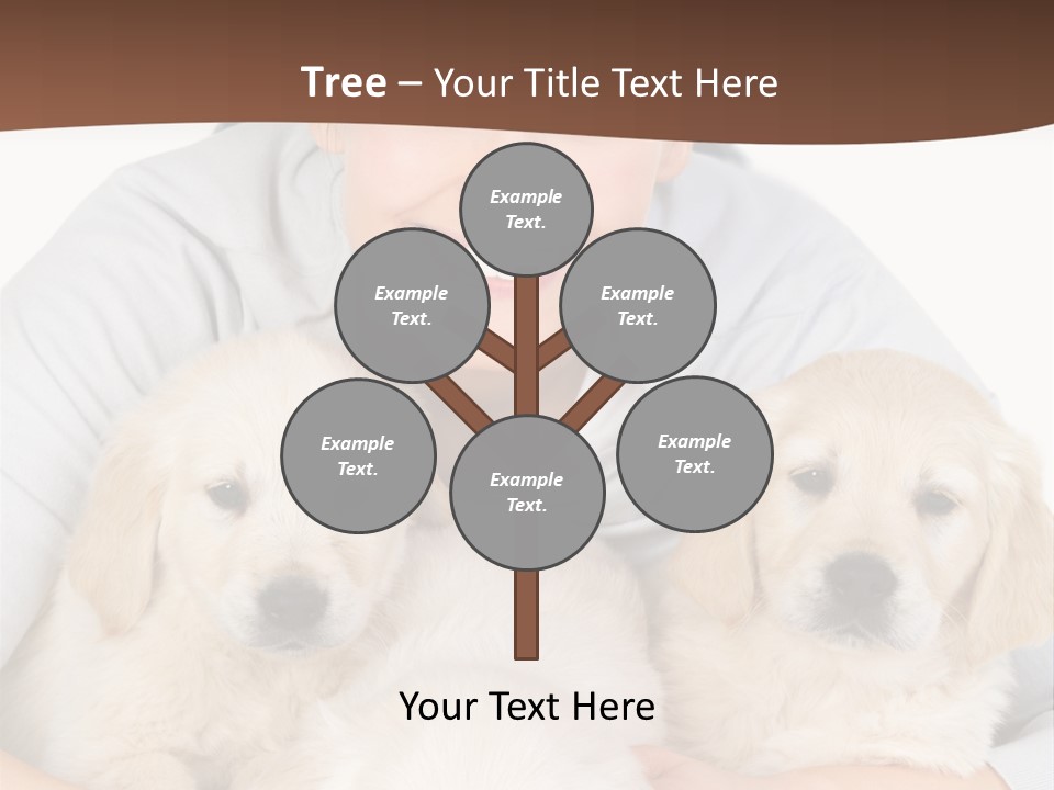 Catching The Yoga Balance PowerPoint Template