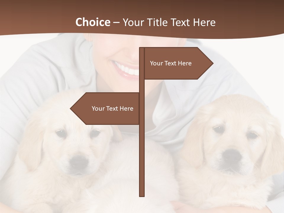 Catching The Yoga Balance PowerPoint Template
