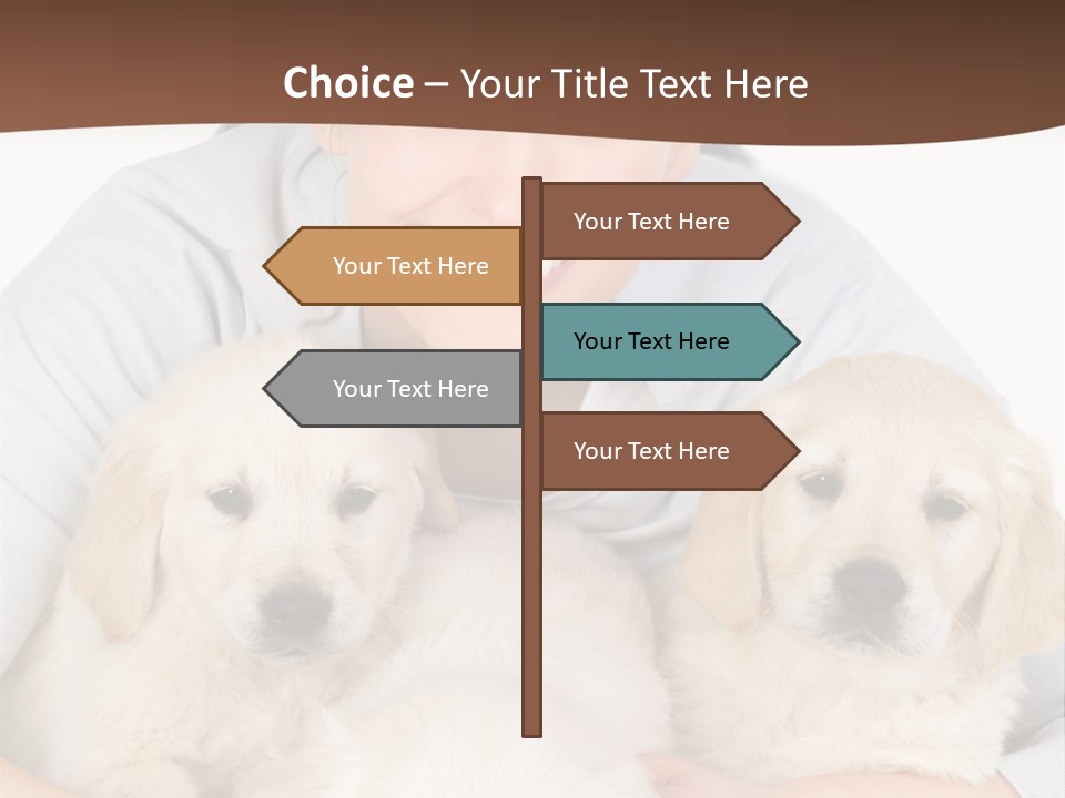 Catching The Yoga Balance PowerPoint Template