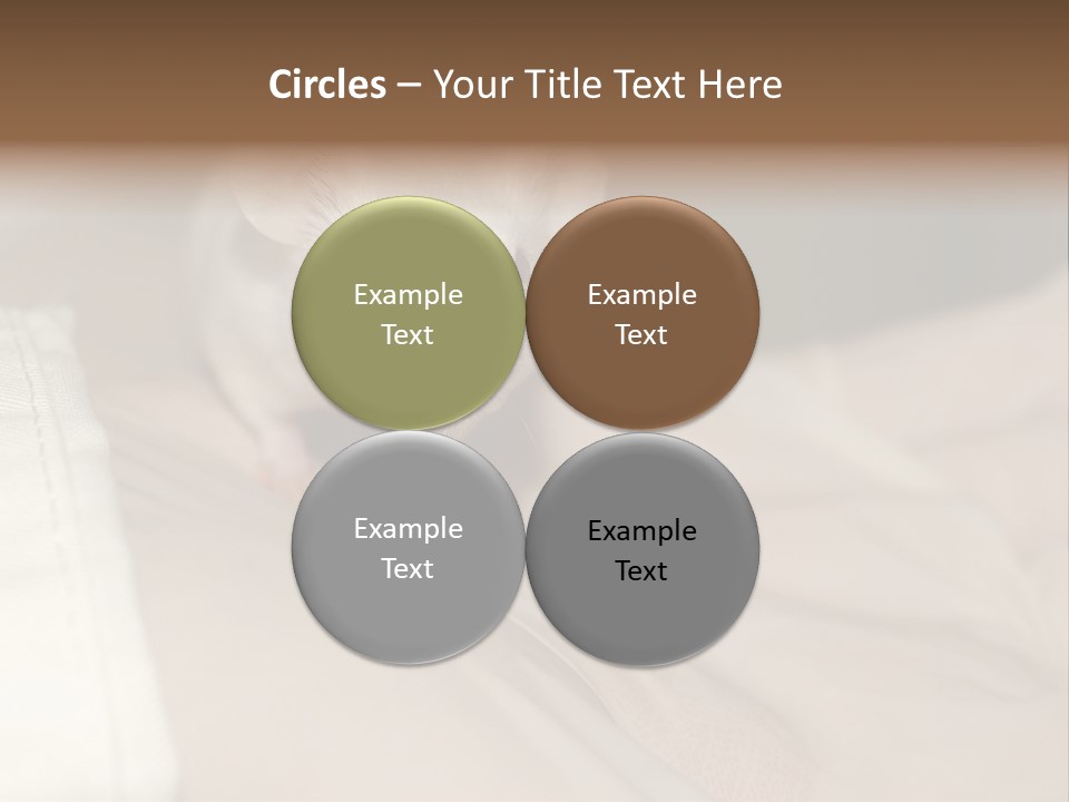 A White Rat Sitting On Top Of A Bed PowerPoint Template