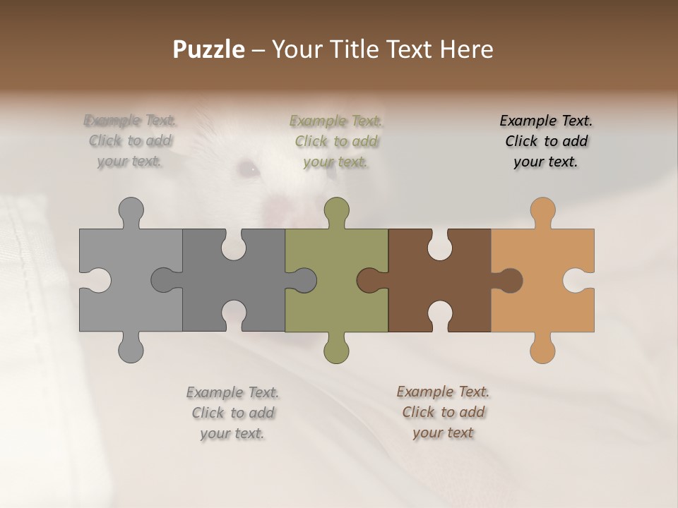 A White Rat Sitting On Top Of A Bed PowerPoint Template