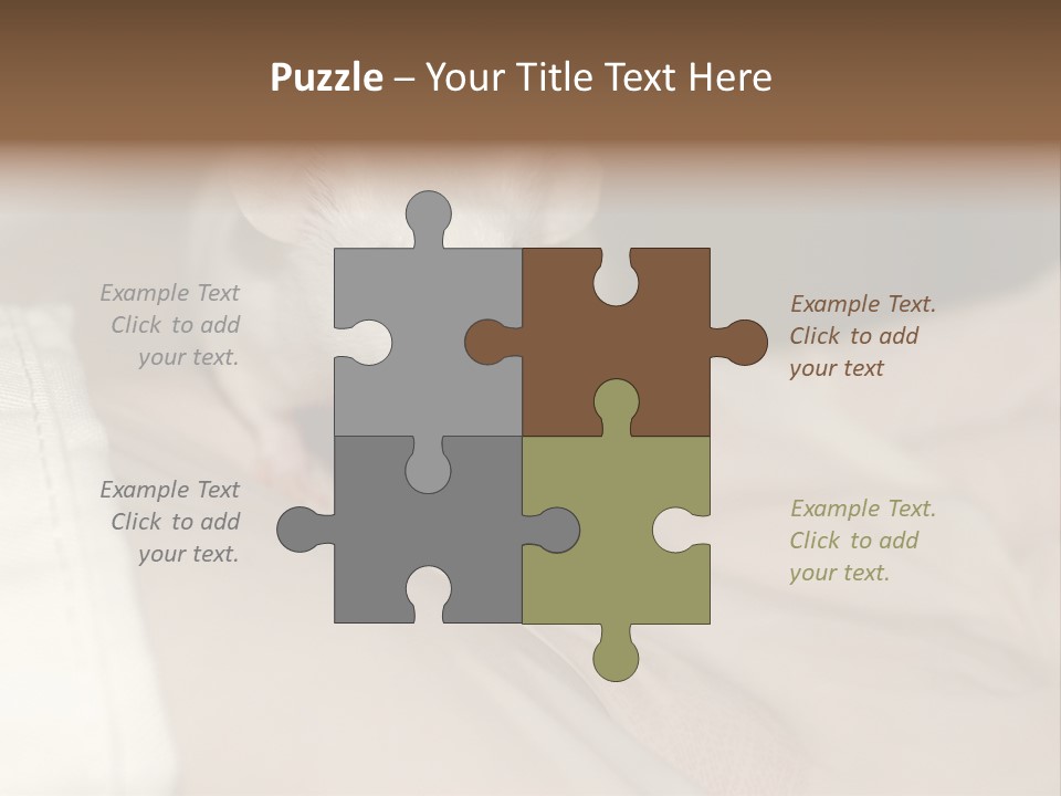 A White Rat Sitting On Top Of A Bed PowerPoint Template