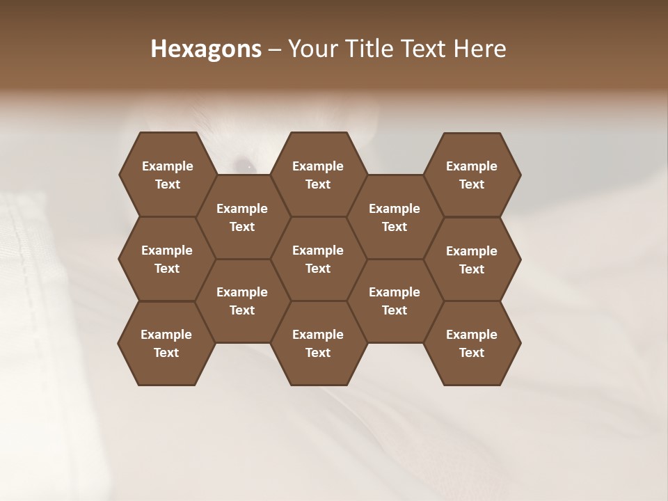 A White Rat Sitting On Top Of A Bed PowerPoint Template