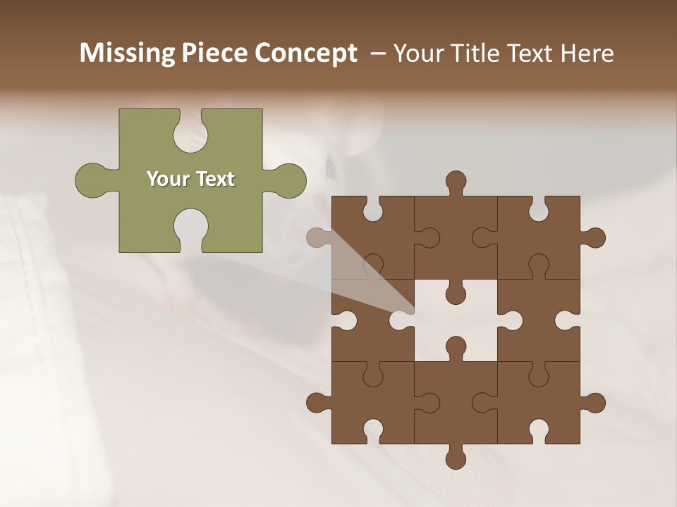 A White Rat Sitting On Top Of A Bed PowerPoint Template