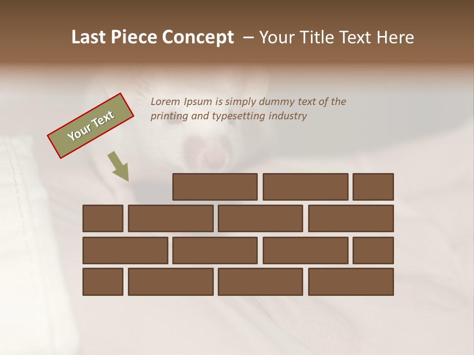 A White Rat Sitting On Top Of A Bed PowerPoint Template