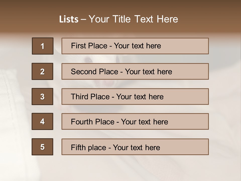 A White Rat Sitting On Top Of A Bed PowerPoint Template