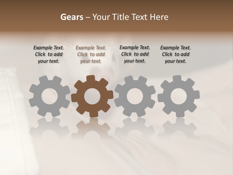 A White Rat Sitting On Top Of A Bed PowerPoint Template