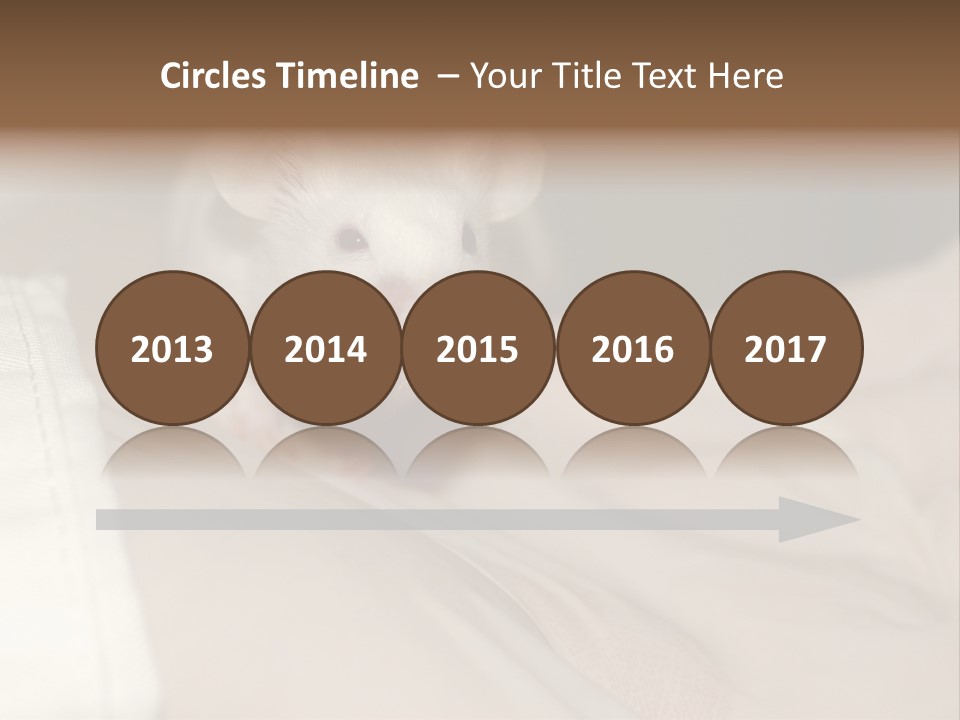 A White Rat Sitting On Top Of A Bed PowerPoint Template