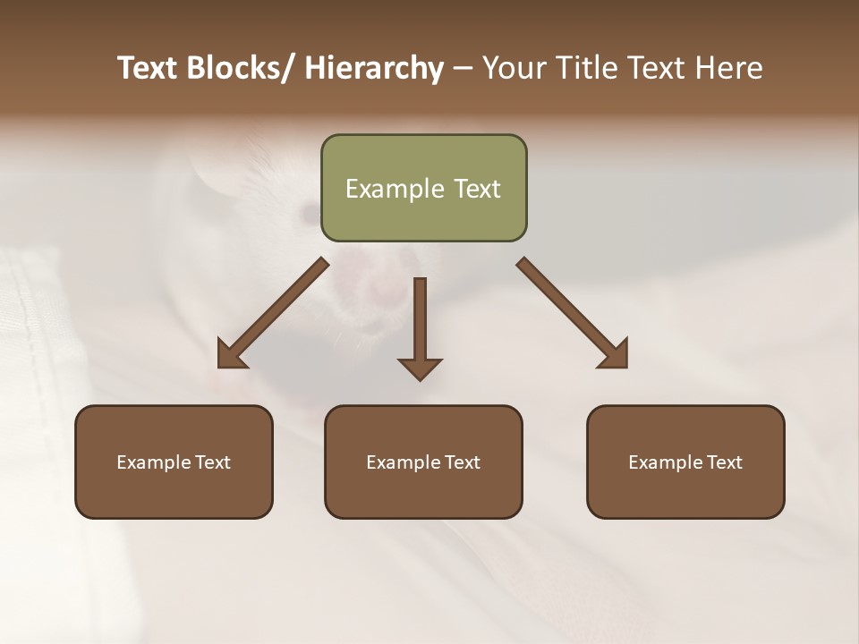 A White Rat Sitting On Top Of A Bed PowerPoint Template