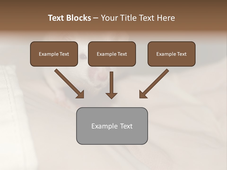 A White Rat Sitting On Top Of A Bed PowerPoint Template