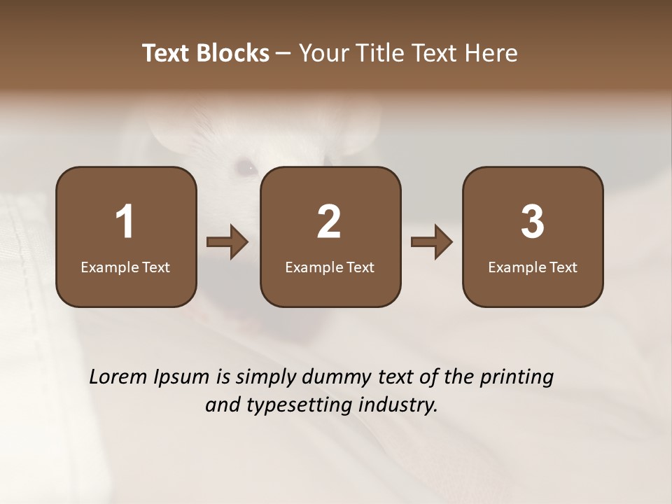 A White Rat Sitting On Top Of A Bed PowerPoint Template