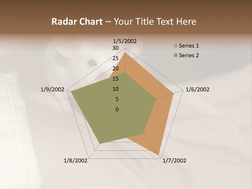 A White Rat Sitting On Top Of A Bed PowerPoint Template
